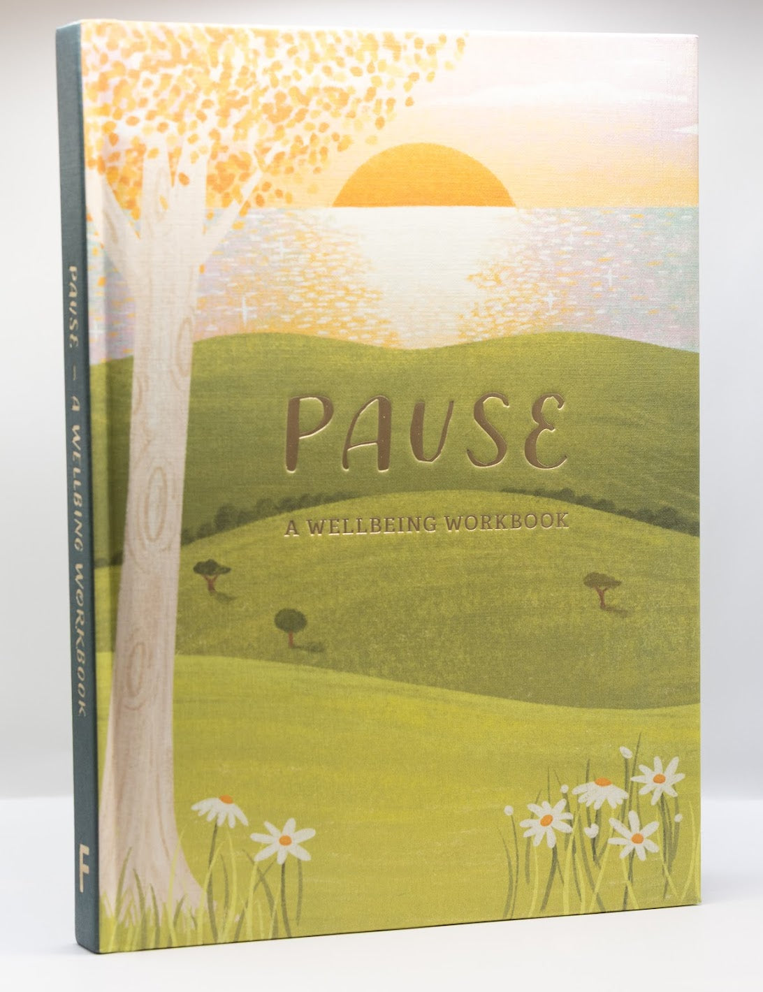 Mindfulness Journal | Wellbeing workbook | Pause
